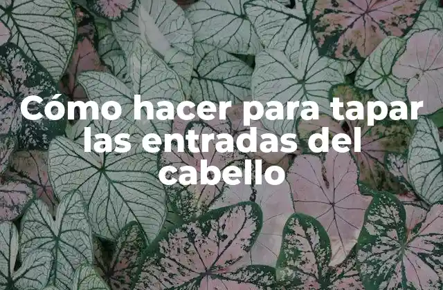 Cómo Hacer para Tapar las Entradas Del Cabello
