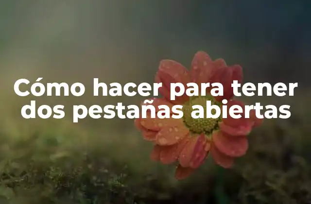 Cómo Hacer para Tener Dos Pestañas Abiertas