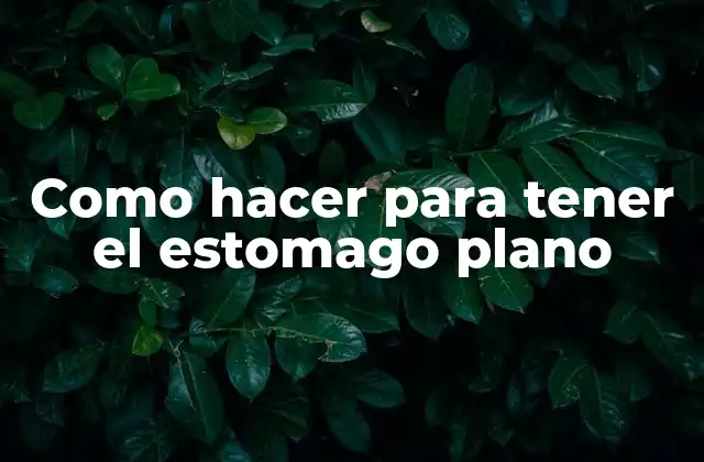 Como Hacer para Tener el Estomago Plano