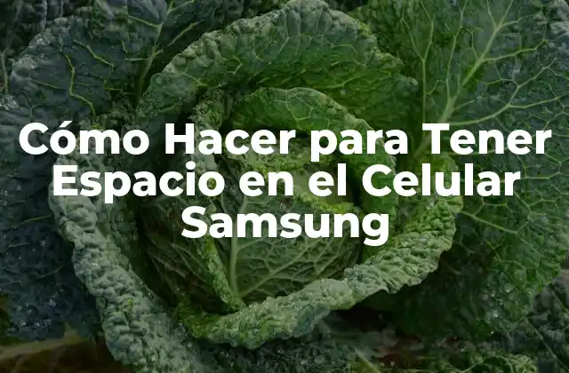 Cómo Hacer para Tener Espacio en el Celular Samsung