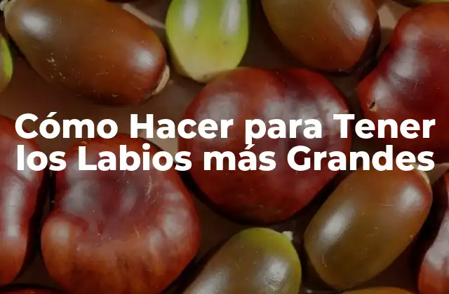 Cómo Hacer para Tener los Labios Más Grandes