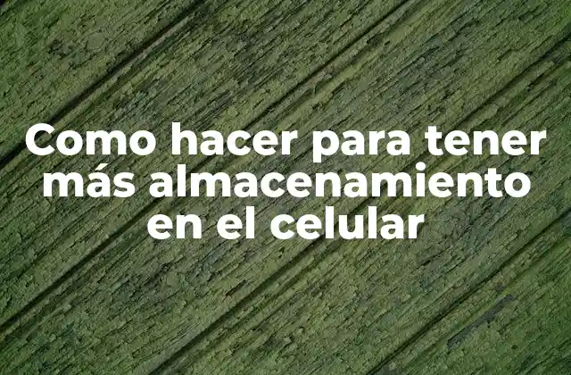 Como Hacer para Tener Más Almacenamiento en el Celular