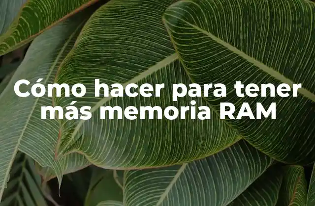 Cómo Hacer para Tener Más Memoria Ram