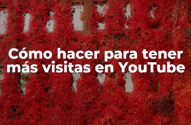 Cómo Hacer para Tener Más Visitas en Youtube
