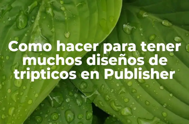 Como Hacer para Tener Muchos Diseños de Tripticos en Publisher