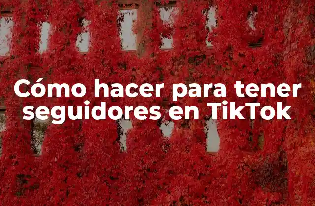 Cómo Hacer para Tener Seguidores en Tiktok