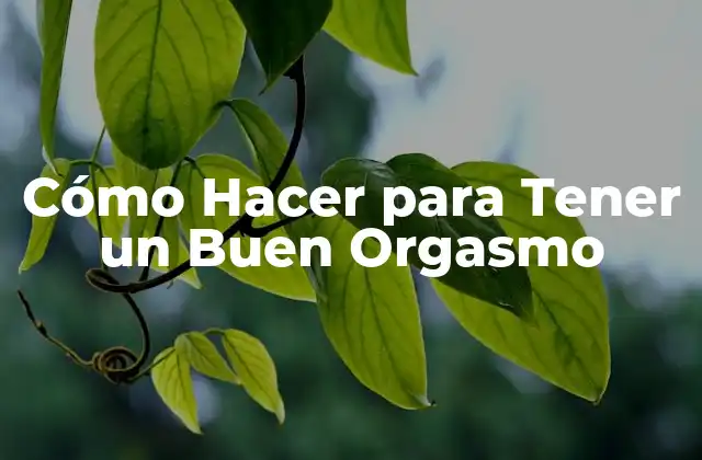 Cómo Hacer para Tener un Buen Orgasmo