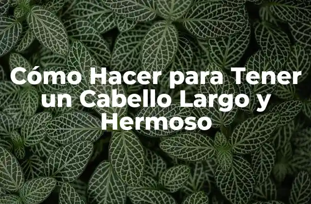 Cómo Hacer para Tener un Cabello Largo y Hermoso