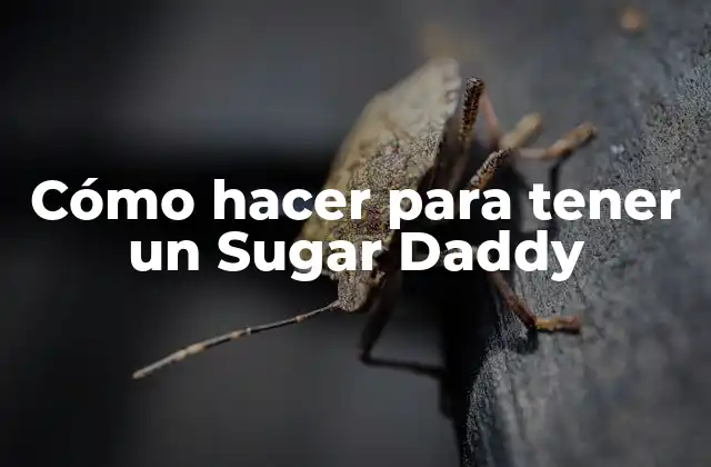 Cómo Hacer para Tener un Sugar Daddy