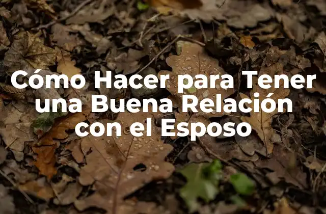 Cómo Hacer para Tener una Buena Relación con el Esposo