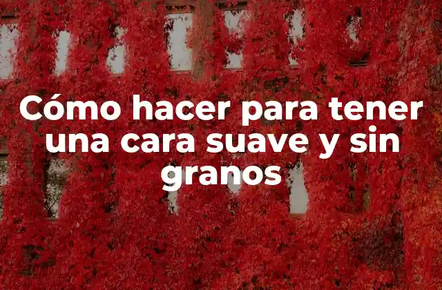 Cómo Hacer para Tener una Cara Suave y sin Granos