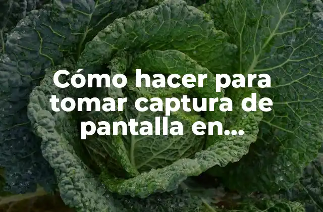 Cómo Hacer para Tomar Captura de Pantalla en Computadora