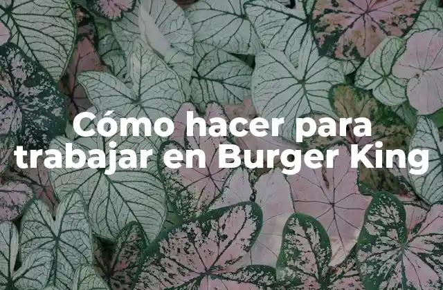 Cómo Hacer para Trabajar en Burger King