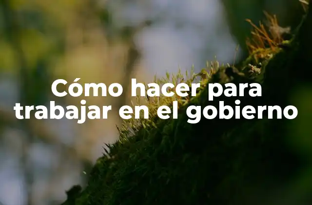 Trabajos en el gobierno