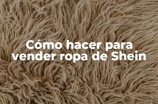 Cómo Hacer para Vender Ropa de Shein