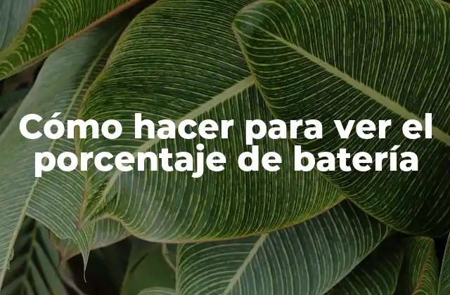 Cómo Hacer para Ver el Porcentaje de Batería