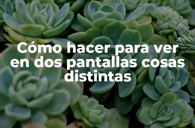 Cómo Hacer para Ver en Dos Pantallas Cosas Distintas