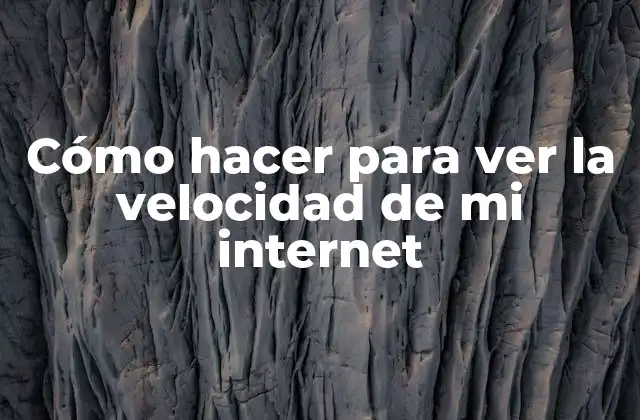 Cómo Hacer para Ver la Velocidad de Mi Internet