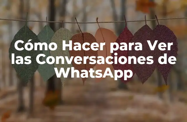 Cómo Hacer para Ver las Conversaciones de Whatsapp 2 ¿Qué es Ver las Conversaciones de WhatsApp y para Qué Sirve?