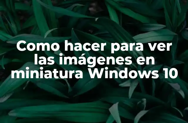 Como Hacer para Ver las Imágenes en Miniatura Windows 10
