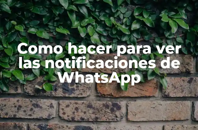 Como Hacer para Ver las Notificaciones de Whatsapp 2 Ver notificaciones de WhatsApp
