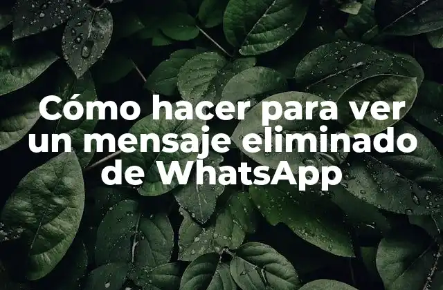 Cómo Hacer para Ver un Mensaje Eliminado de Whatsapp