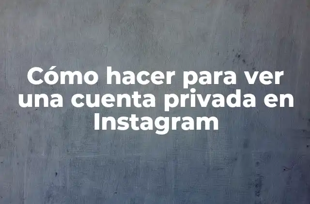 Cómo Hacer para Ver una Cuenta Privada en Instagram
