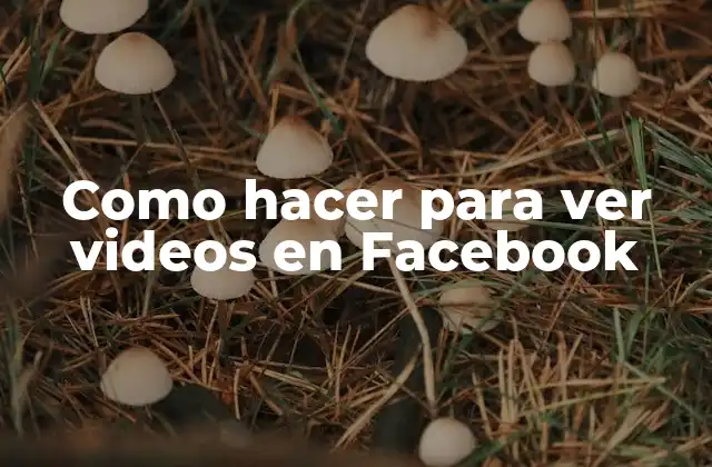 Como Hacer para Ver Videos en Facebook