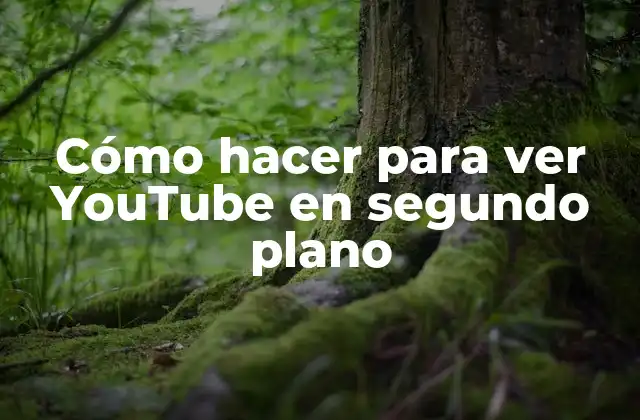 Cómo Hacer para Ver Youtube en Segundo Plano