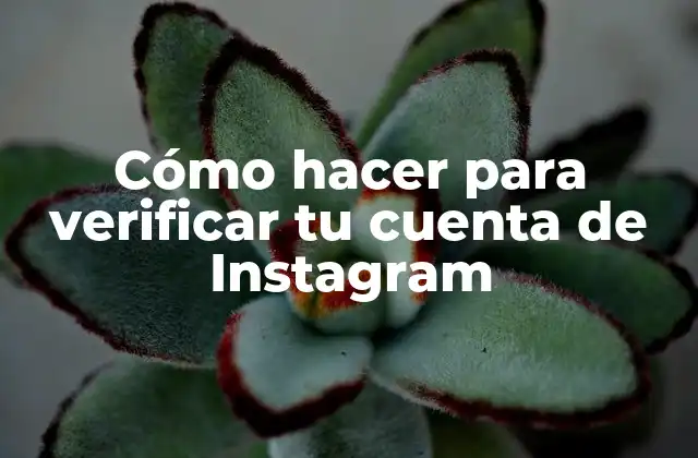 Verificar tu cuenta de Instagram