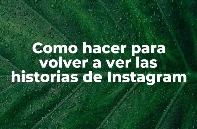Como Hacer para Volver a Ver las Historias de Instagram