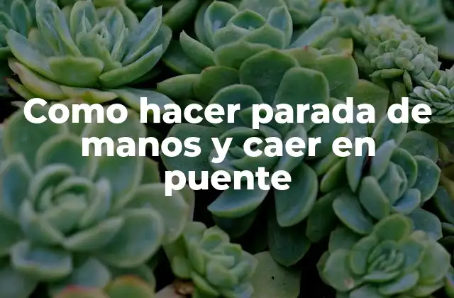 Como Hacer Parada de Manos y Caer en Puente