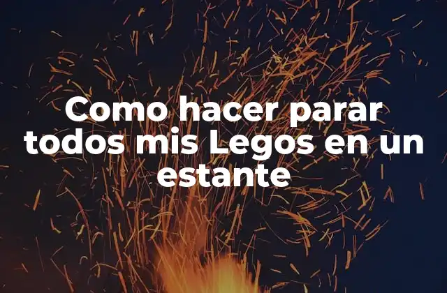 Como Hacer Parar Todos Mis Legos en un Estante