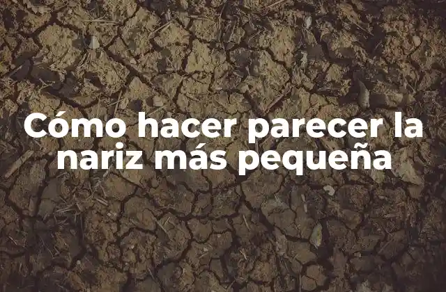 Cómo Hacer Parecer la Nariz Más Pequeña