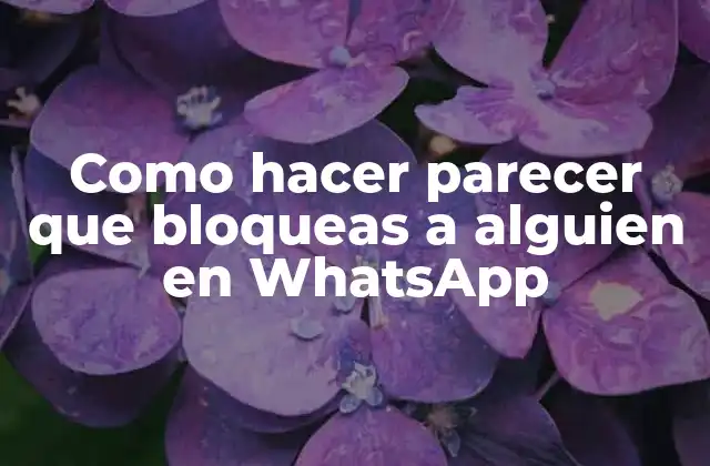 Como Hacer Parecer que Bloqueas a Alguien en Whatsapp