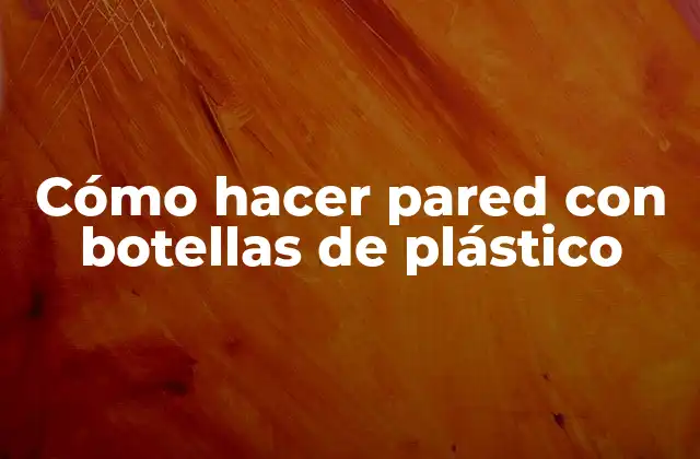 Cómo Hacer Pared con Botellas de Plástico