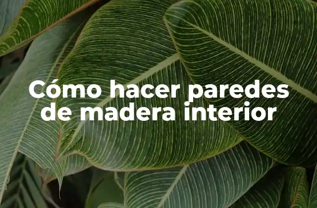Paredes de madera interior: qué son y para qué sirven