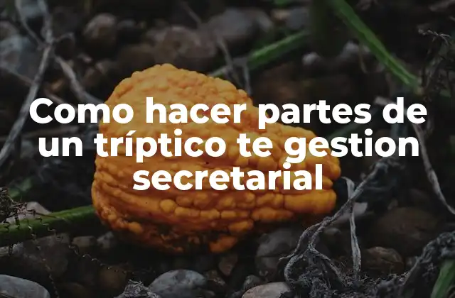 Como Hacer Partes de un Tríptico Te Gestion Secretarial