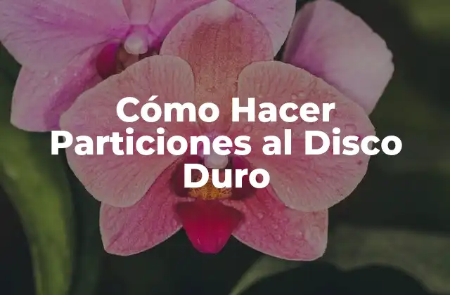Cómo Hacer Particiones Al Disco Duro