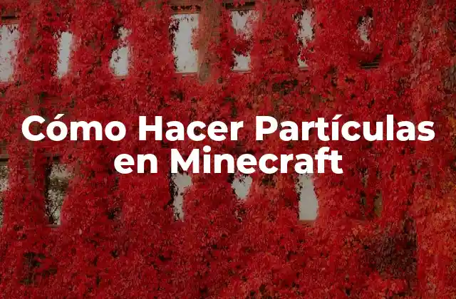 Cómo Hacer Partículas en Minecraft