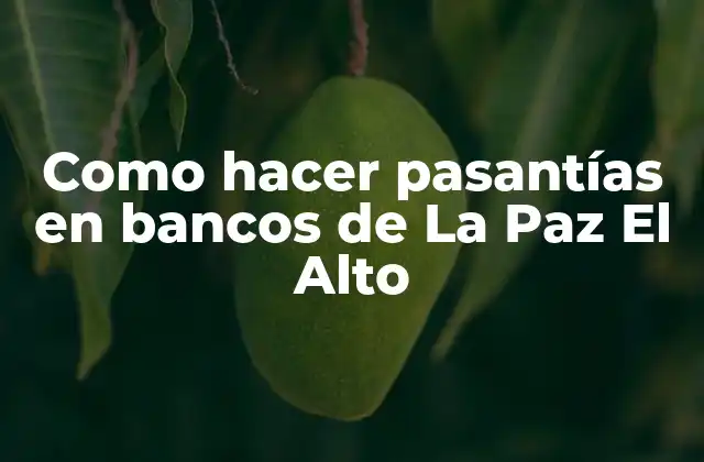 Como Hacer Pasantías en Bancos de la Paz el Alto