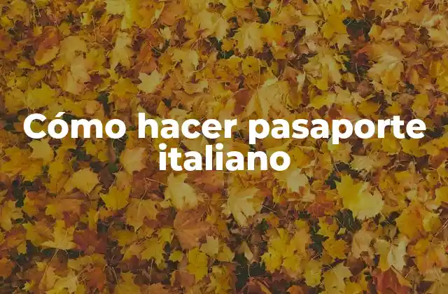 Cómo Hacer Pasaporte Italiano 2 ¿Qué es un pasaporte italiano y para qué sirve?
