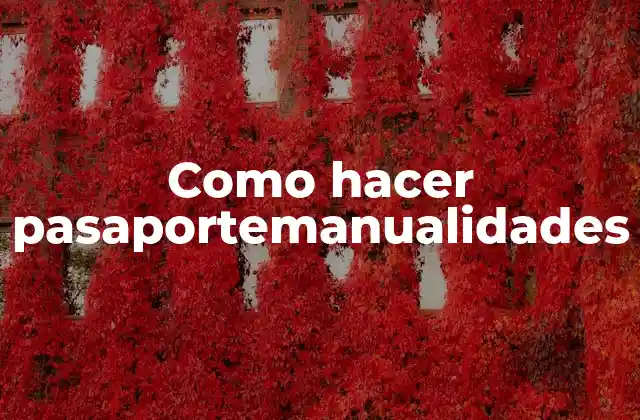 Como Hacer Pasaportemanualidades 2 ¿Qué es un pasaporte de manualidades?