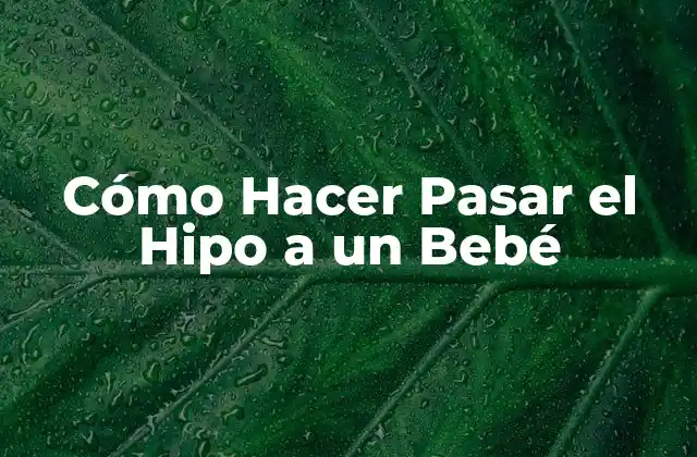 Cómo Hacer Pasar el Hipo a un Bebé