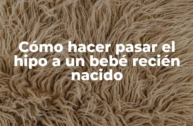 Cómo Hacer Pasar el Hipo a un Bebé Recién Nacido