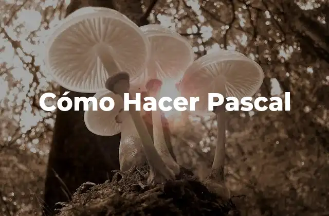 Cómo Hacer Pascal
