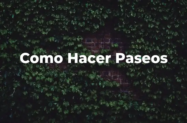 Como Hacer Paseos