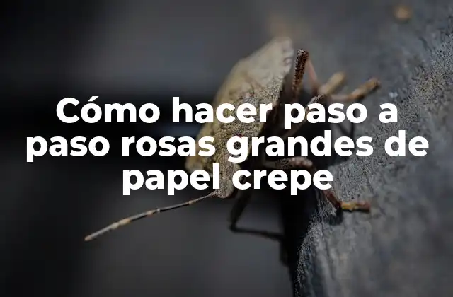 Cómo Hacer Paso a Paso Rosas Grandes de Papel Crepe