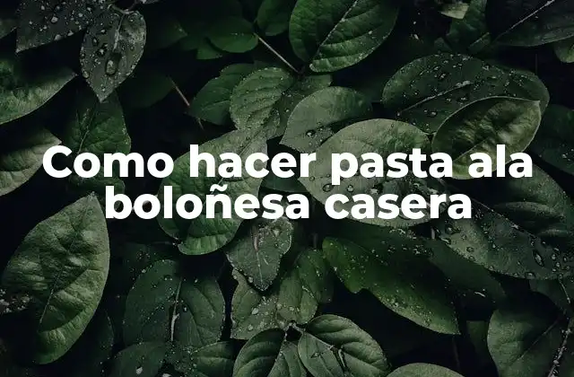 Como Hacer Pasta Ala Boloñesa Casera
