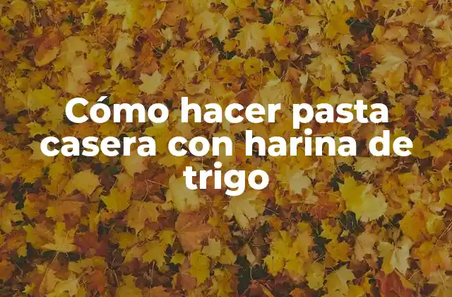Cómo Hacer Pasta Casera con Harina de Trigo